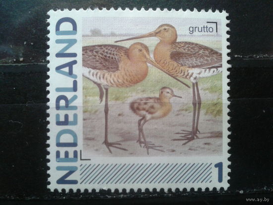 Нидерланды 2011 Птицы*
