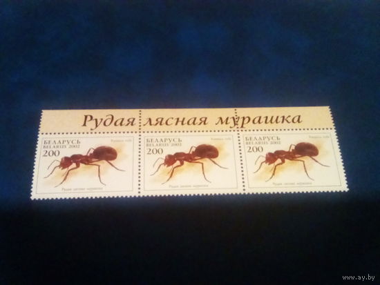 Беларусь 2002 рыжий муравей