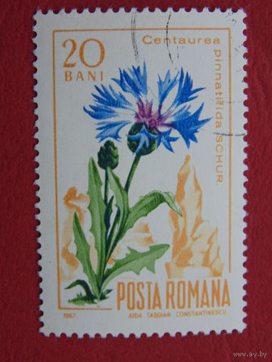 Румыния 1967 г. Цветы.