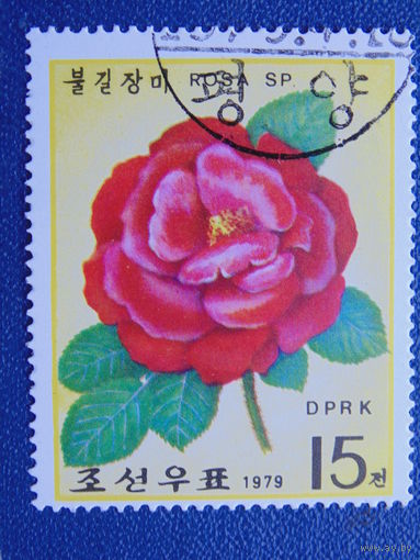 Корея 1979 г. Роза.
