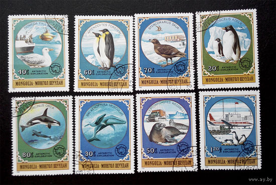 Монголия 1980 г. Фауна. Исследование Антарктики. полная серия из 8 марок #0032-Ф1