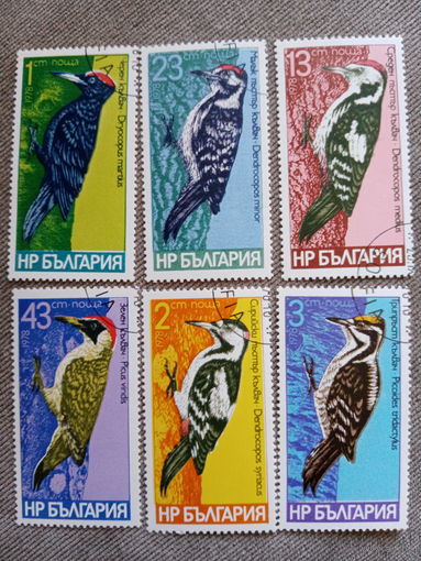 Болгария 1978. Фауна. Птицы. Дятлы