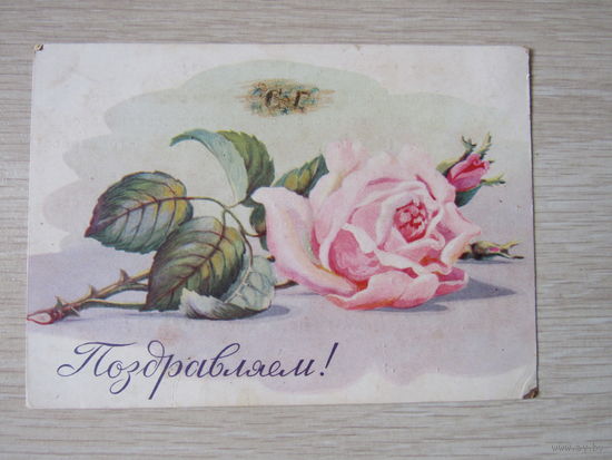 Роза. худ. Ходатаева, 1959