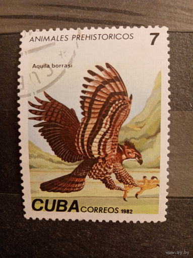 Куба 1982. Хищные птицы. Aquila borrasi