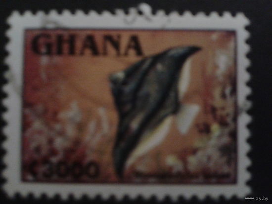 Гана 1995 стандарт, рыба