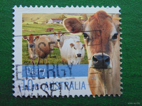 Австралия 2012г. Фауна.