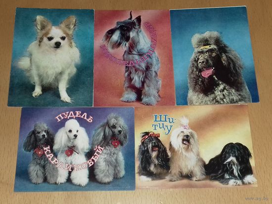 Календарики 1991 Собаки. 5 шт. одним лотом