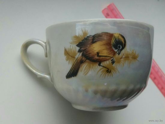Чашка с рисунком птички