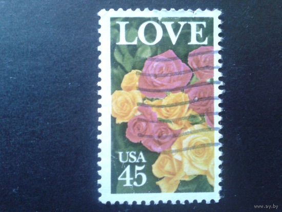 США 1988 цветы, любовь