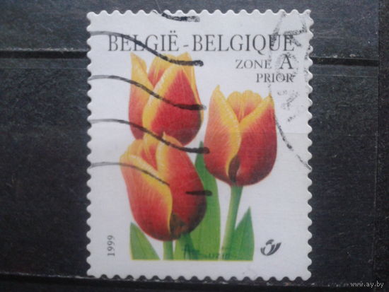 Бельгия 1999 Тюльпаны