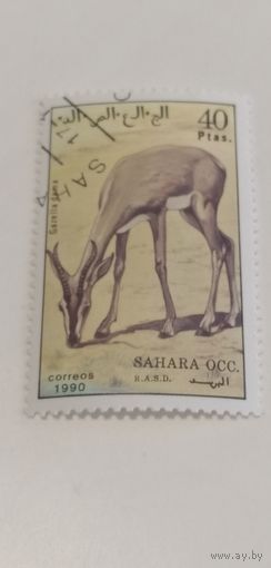 Сахара 1990. Фауна. Газель