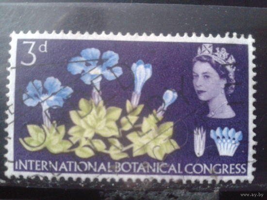Англия 1964 Ботанический конгресс