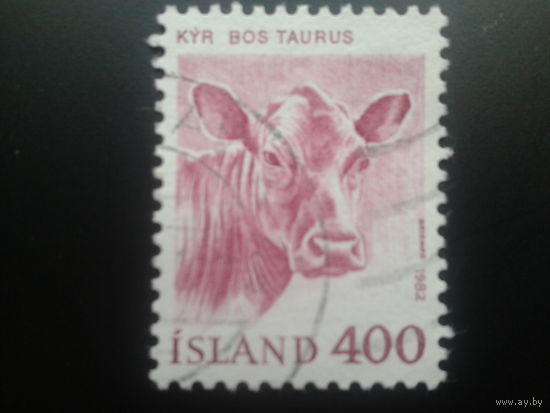Исландия 1982 корова