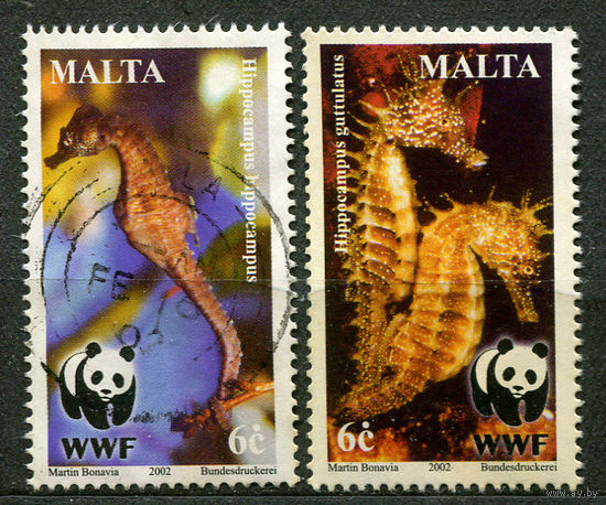 Фауна. Морские коньки. WWF. Мальта. 2002. Серия 2 марки