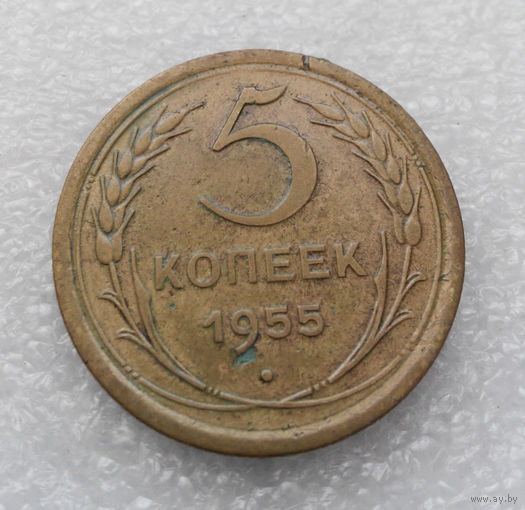 5 копеек 1955 года СССР #13