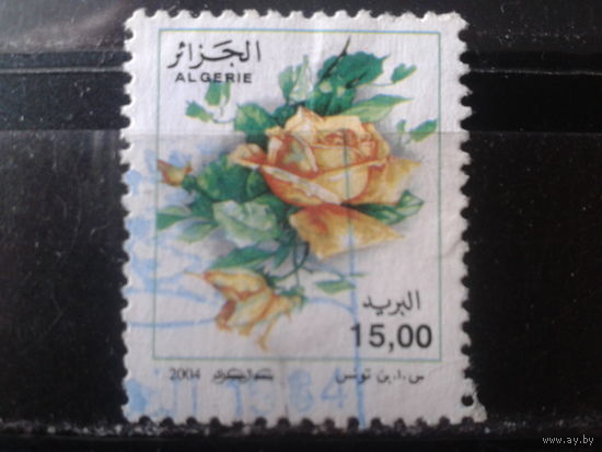 Алжир 2004 Стандарт, розы Михель-1,5 евро гаш