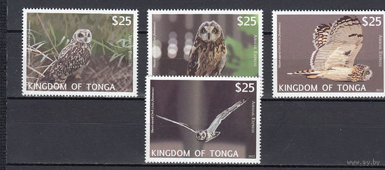 Фауна. Совы. Тонга. 2012. 4 марки. Michel N 1793-1796  (110,0 е)