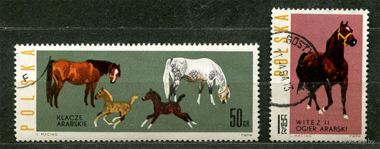 Лошади. Польша. 1963. Серия 2 марки
