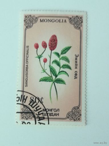 Монголия 1985. Флора. Растения.