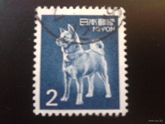 Япония 1989 собака
