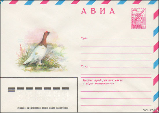 Художественный маркированный конверт СССР N 14789 (03.02.1981) АВИА  [Тундряная куропатка]