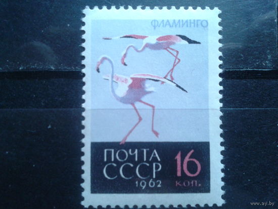 1962 Розовый фламинго** концевая