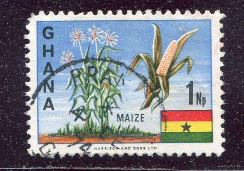 Гана. Национальные символы. Зерновые