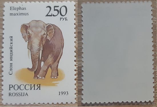 Россия 1993 Фауна мира.Индийский слон