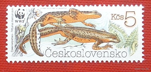 Чехословакия. Земноводные. ( 1 марка ) 1989 года. 8-13.