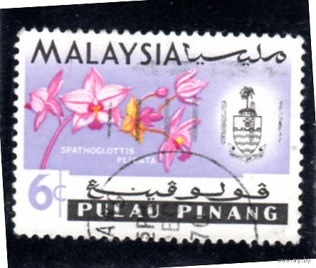 Малайзия. Пулау Пинанг. Ми-111. Орхидея plicata.1965.