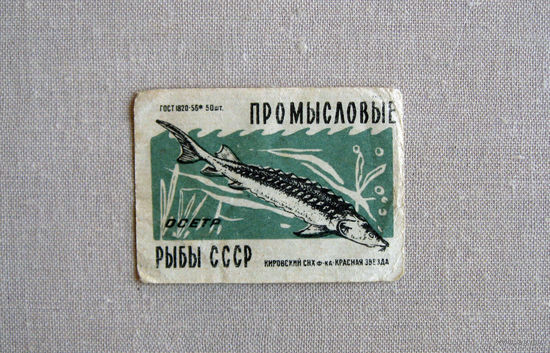 Спичечная этикетка Промысловые рыбы СССР Киров