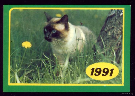 1991 Кошка
