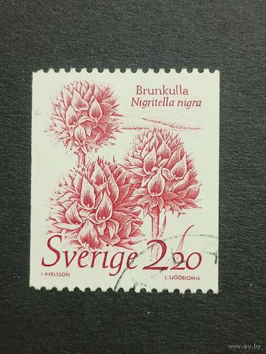 Швеция 1985. Живая природа