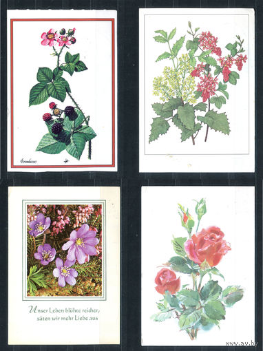 Цветы - 4 открытки - погнуты уголки (Лот 123Н). Без МЦ!