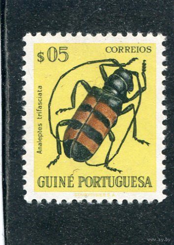 Португальская Гвинея. Фауна. Жуки