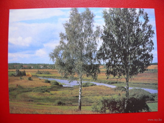 Костенко Г.(фото), Вид на реку Сороть, 1989, чистая.