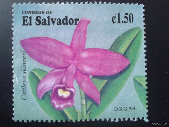 Сальвадор 1999 орхидея