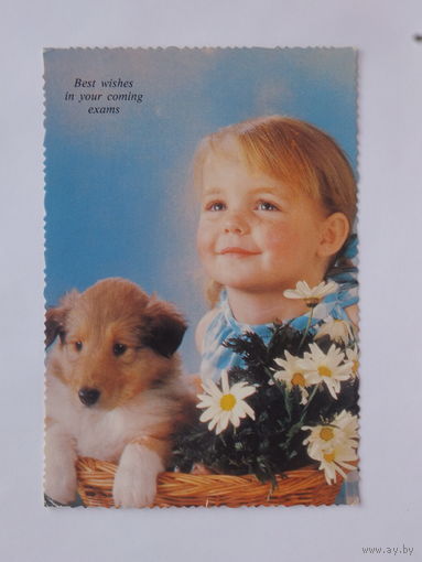 Открытка Италия собачка девочка 1970-е 10х15 см