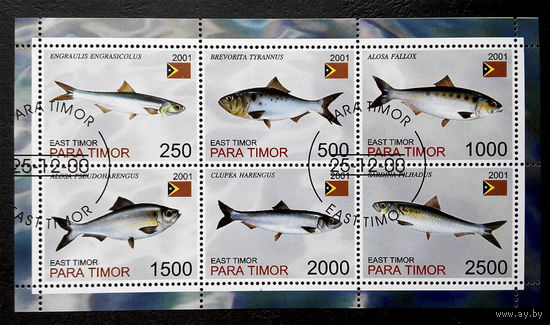 Восточный Тимор 2001  г. Сельди. Рыбы. Фауна, полная серия + Блок #0079-Ф1