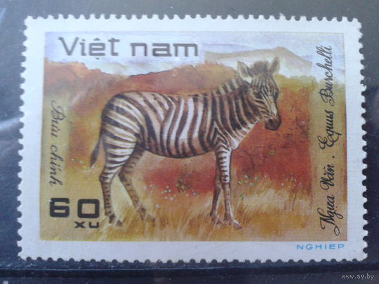 Вьетнам 1981 Зебра**