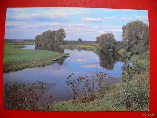 Самсоненко Н.(фото), Пейзаж, 1989, чистая.
