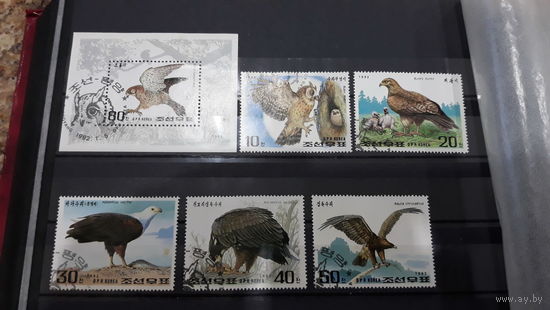 Марки - птицы, хищные, фауна - блок и 5 марок, КНДР, 1992 - сова, орел, беркут и др.  - большой размер
