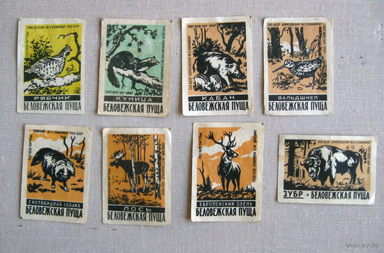 Спичечные этикетки Беловежская пуща Животные 8 штук Гомель Борисов Пинск 1960