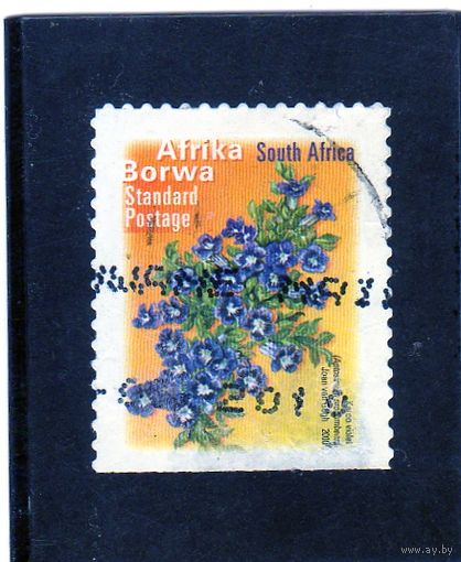 ЮАР.Ми-1544.Aptosimum procumbens. Серия: Фауна и флора.2010.