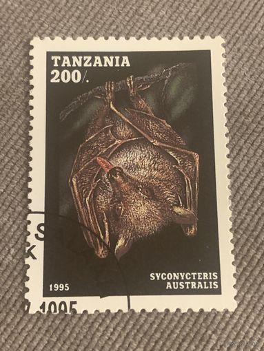 Танзания 1995. Летучие мыши. Syconycteris Australis