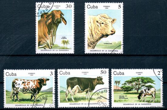Фауна Коровы Куба 1984 год серия из 5 марок