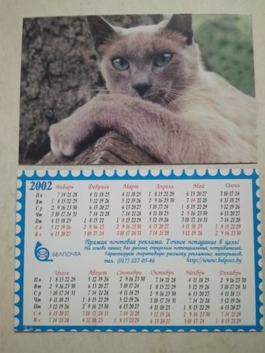 Карманный календарик . Котик. Белпочта. 2002 год