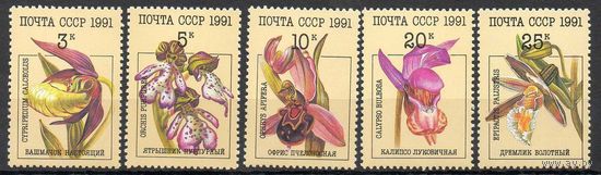Орхидеи СССР 1991 год (6315-6319) серия из 5 марок