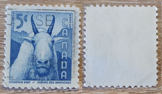 Канада 1956 Национальная неделя дикой природы. Горный козел