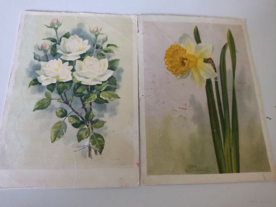 2 открытки 1964г. художника И.Романова(из серии "Цветы нашей Родины")